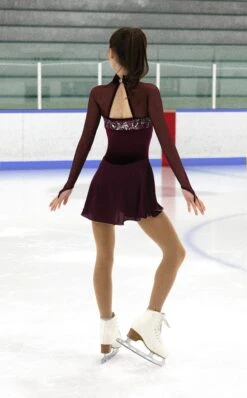 Jerry's 596 Crystal Fanfare Dress 9 Jerry's 596 Crystal Fanfare Dress -Jerry's 596BurgundyBack